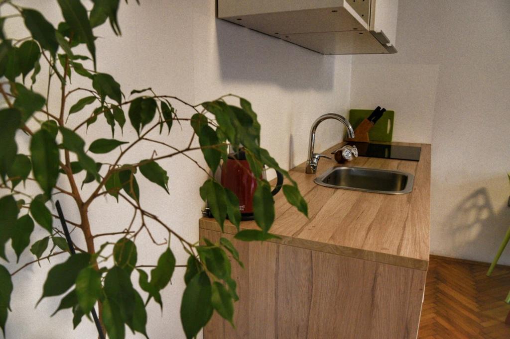 Two Flowers Apartments ซาเกร็บ ภายนอก รูปภาพ